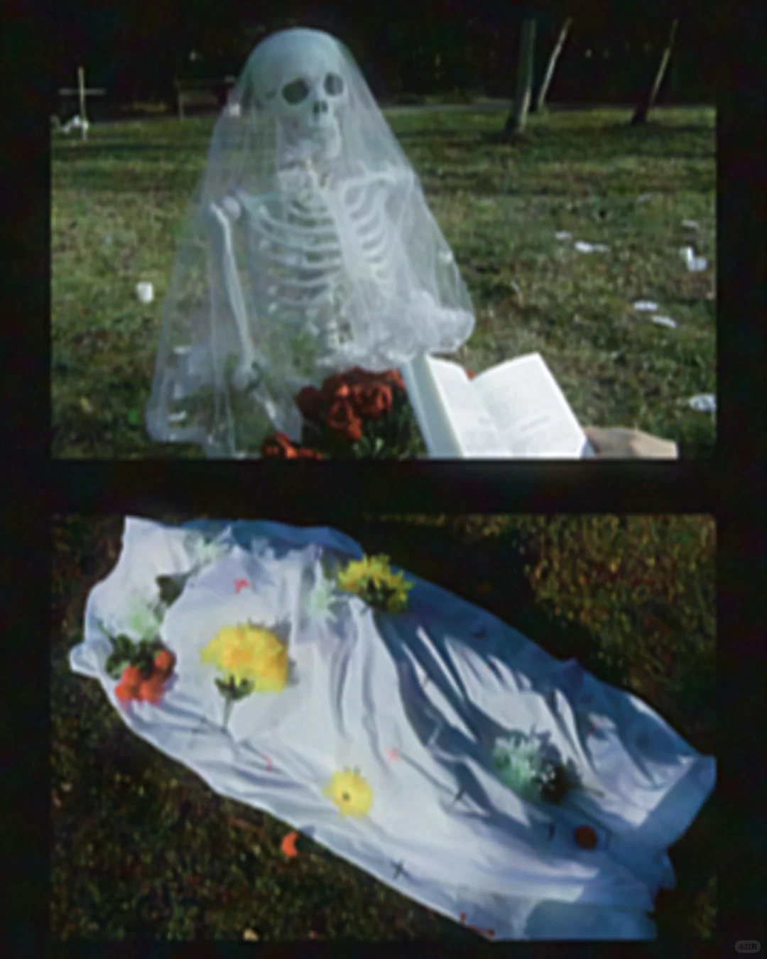 这些高分电影 你看过几部