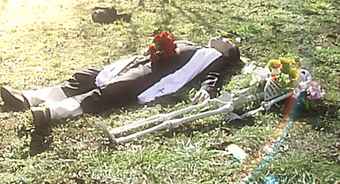 这些高分电影 你看过几部