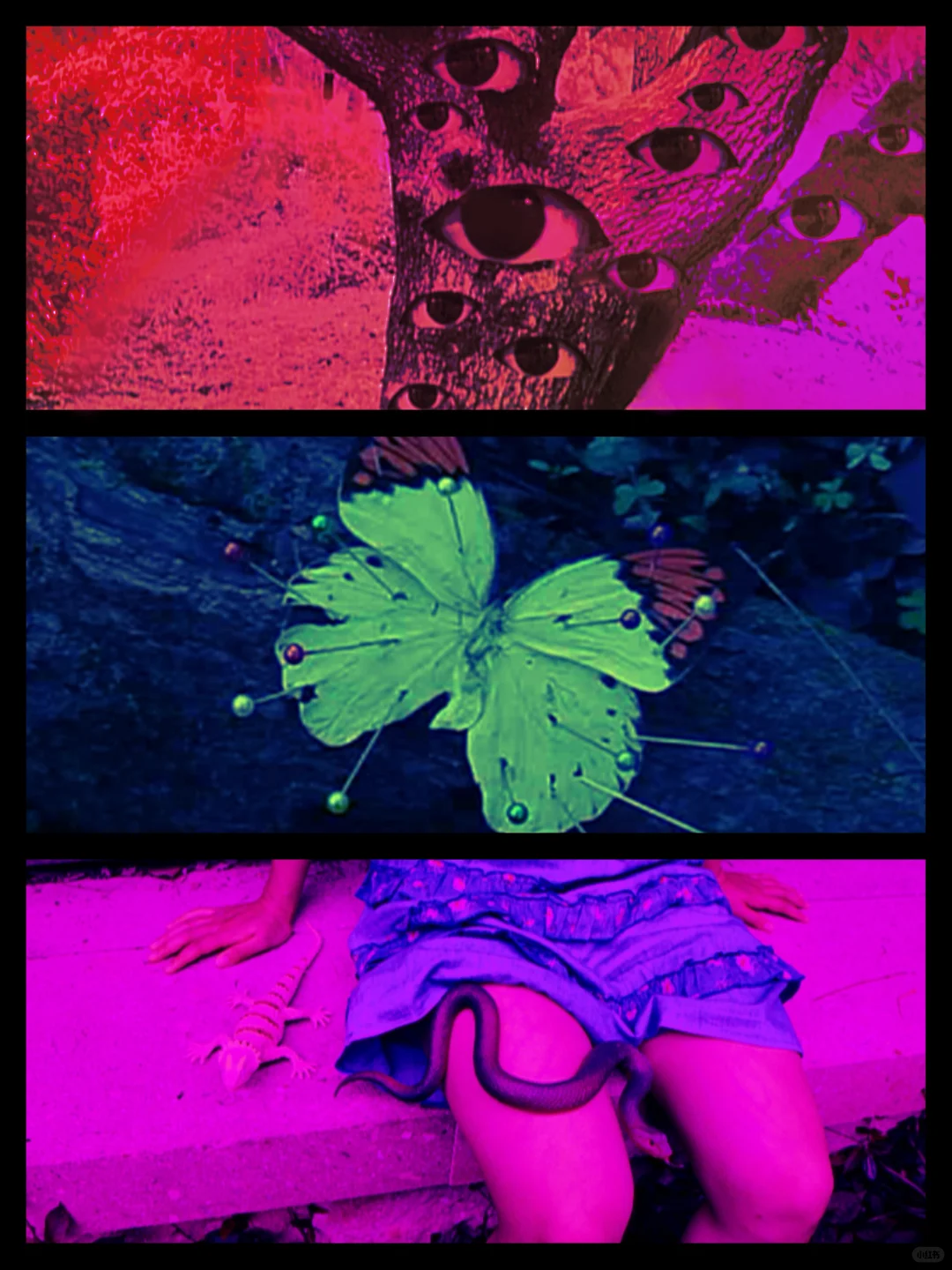 这些高分电影 你看过几部