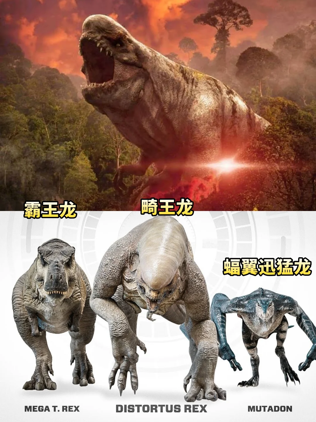 巨物控狂喜🥳侏罗纪变异恐龙天团来了❗️