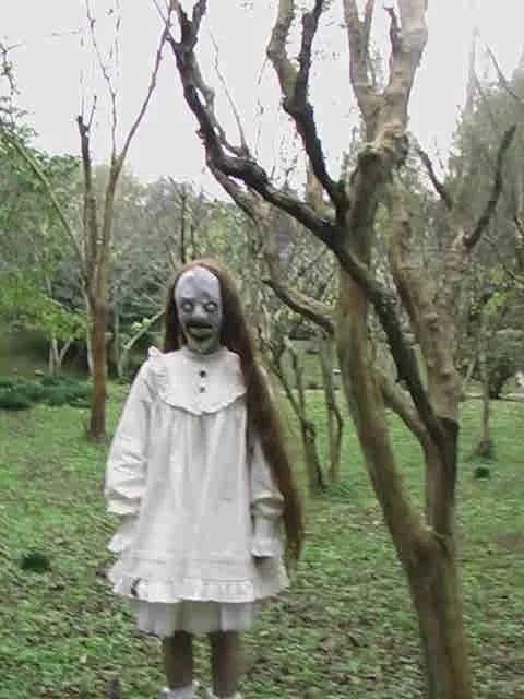 这些高分电影 你看过几部