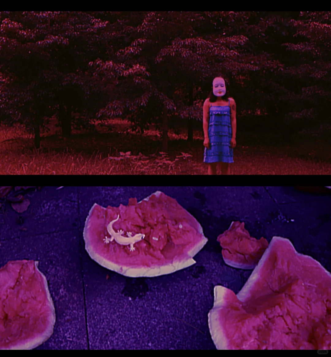 这些高分电影 你看过几部