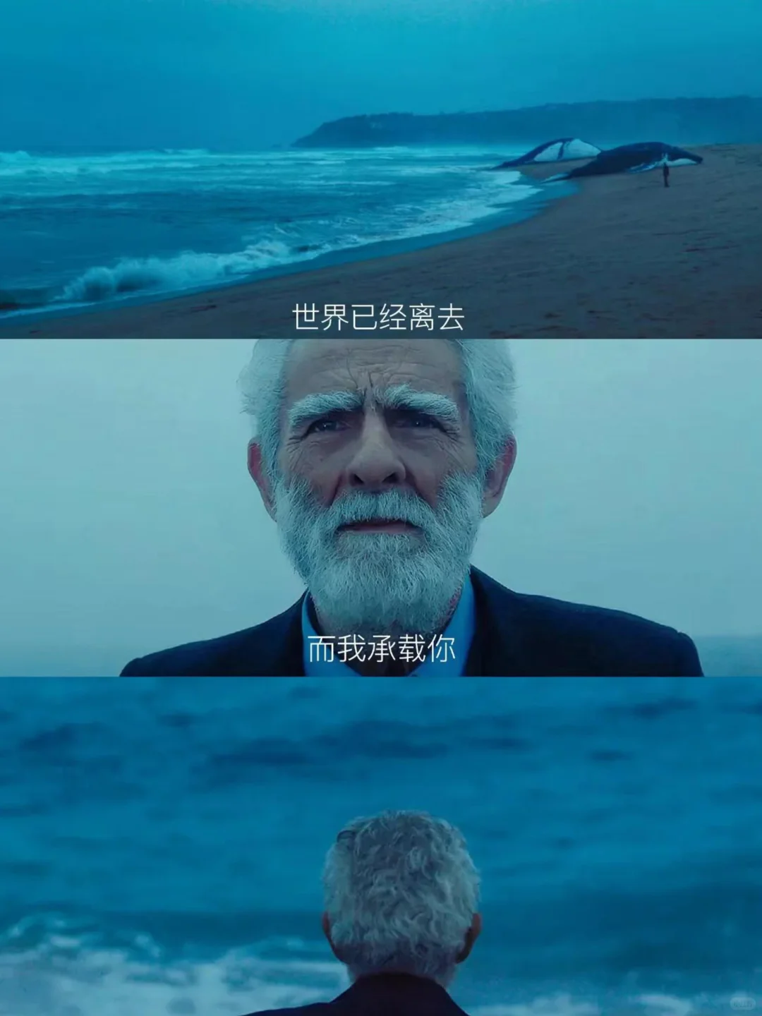 太震撼了❗向全世界推荐这部电影❗巨巨好看