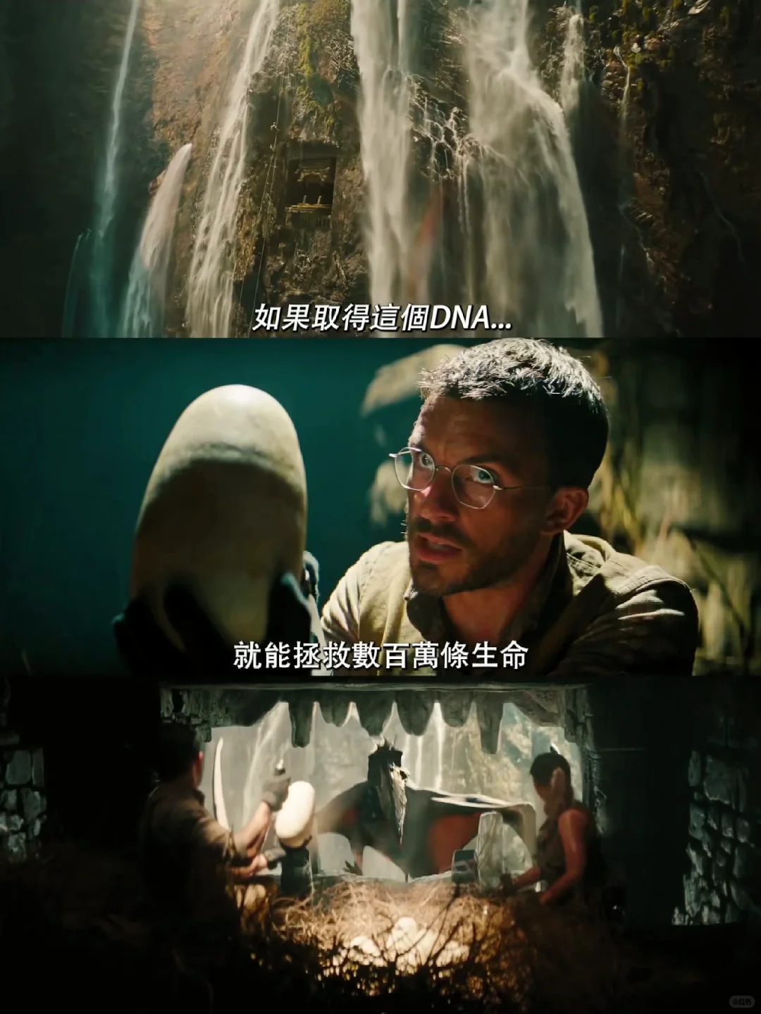 巨物控狂喜🥳侏罗纪变异恐龙天团来了❗️