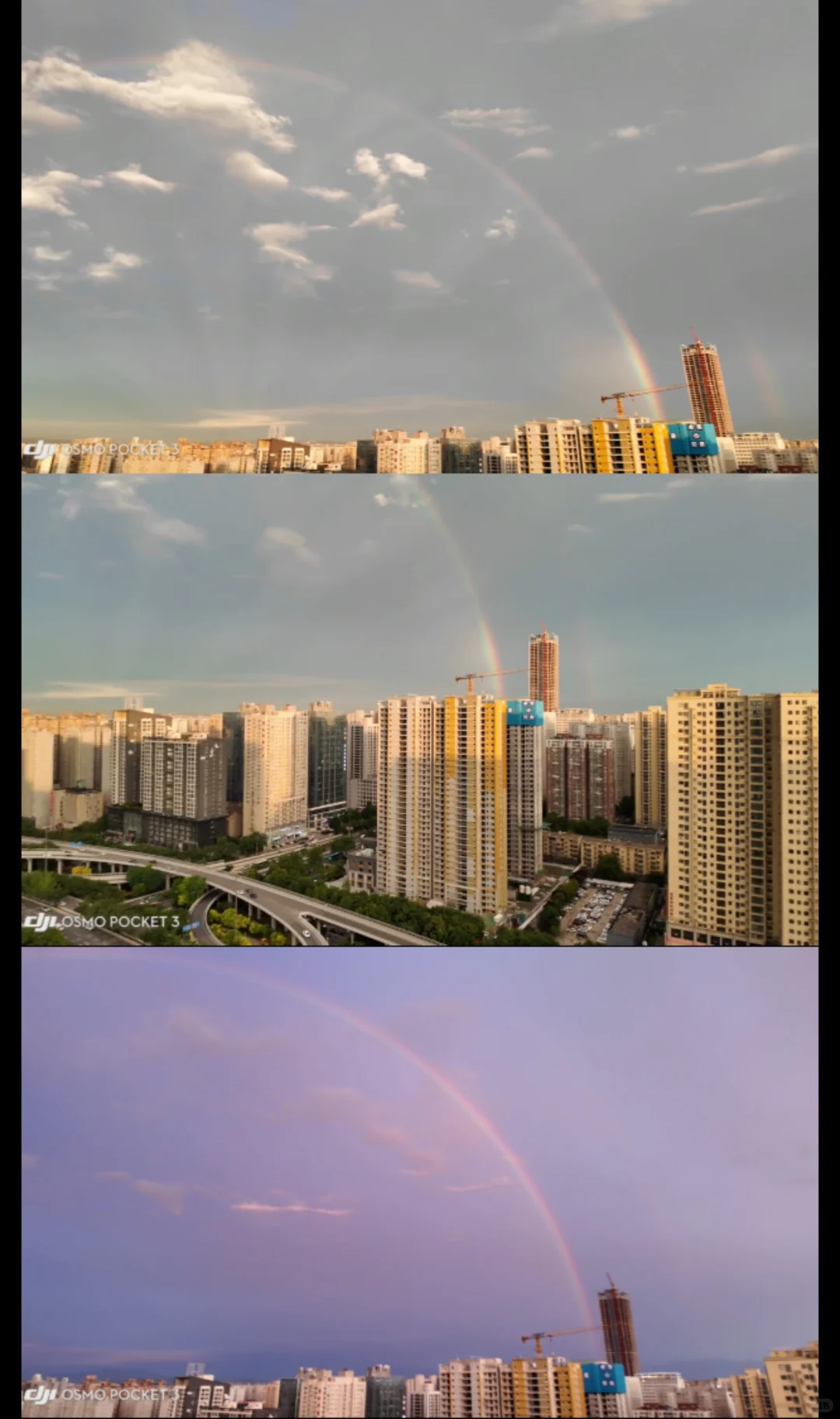 pocket3安卓实况live图三拼，三软件对比图