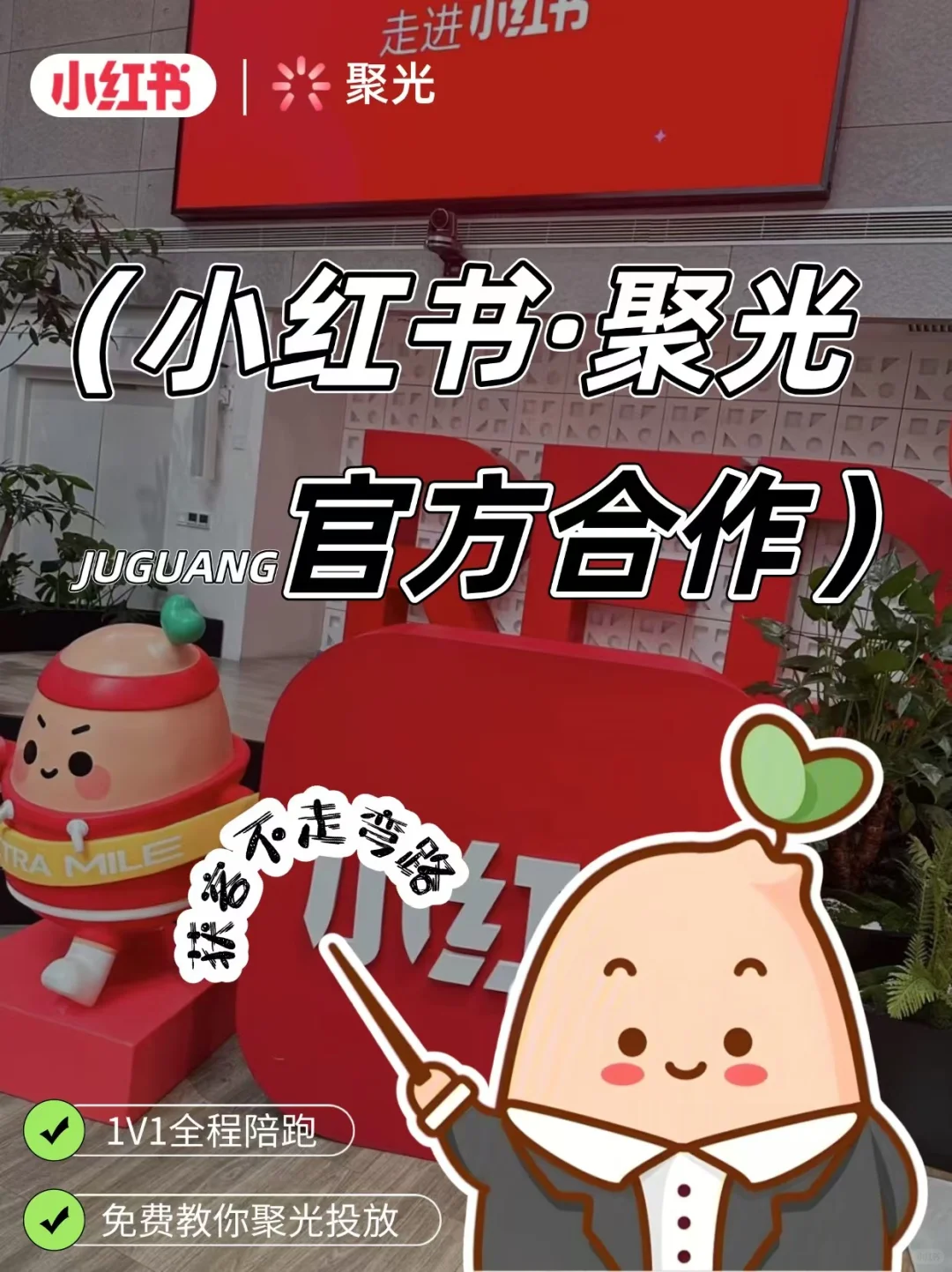 小红书官方合作，1V1全程陪跑免费教聚光投流