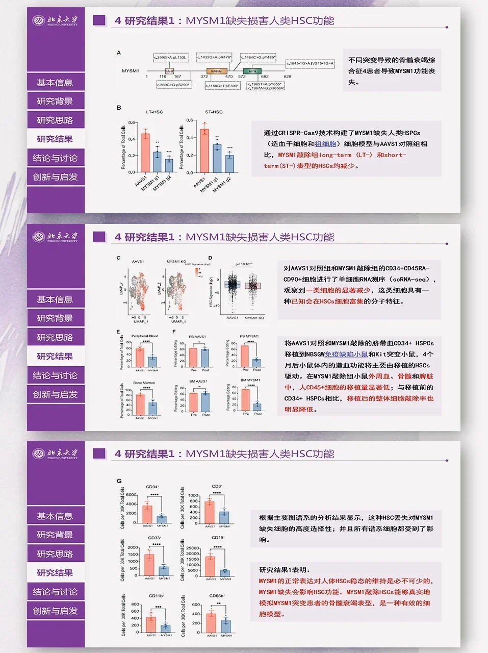 这才是导师喜欢的组会ppt啊啊啊