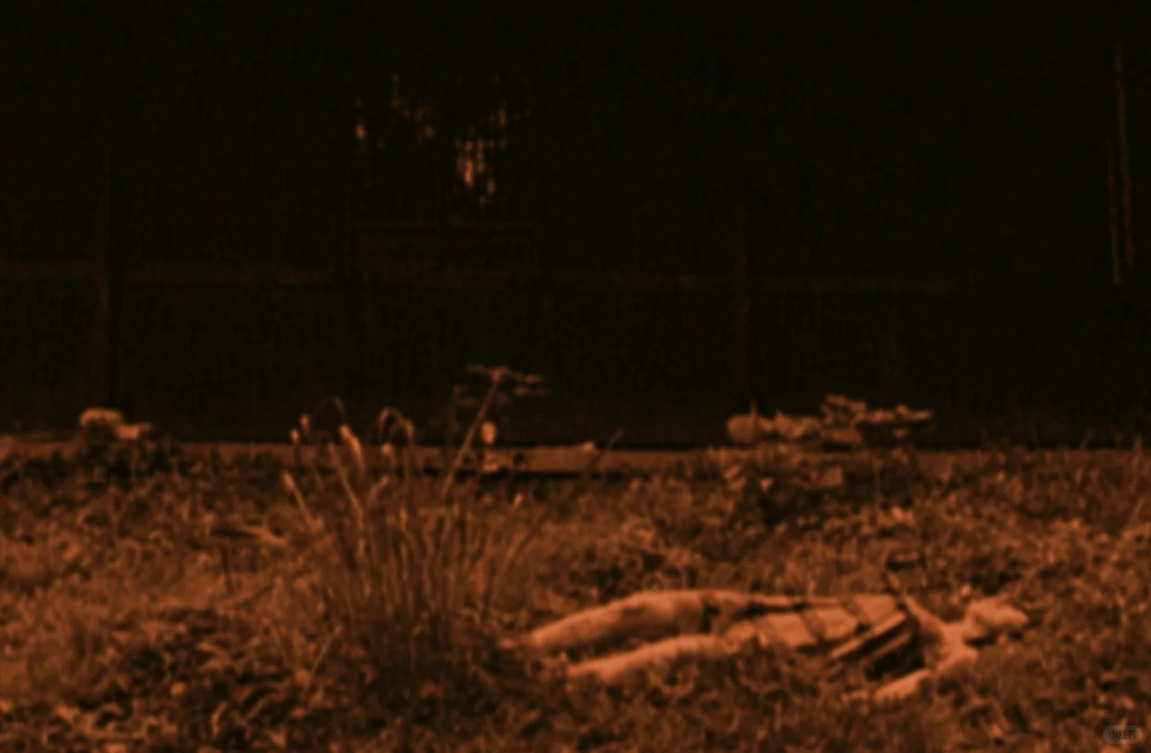 这些高分电影 你看过几部