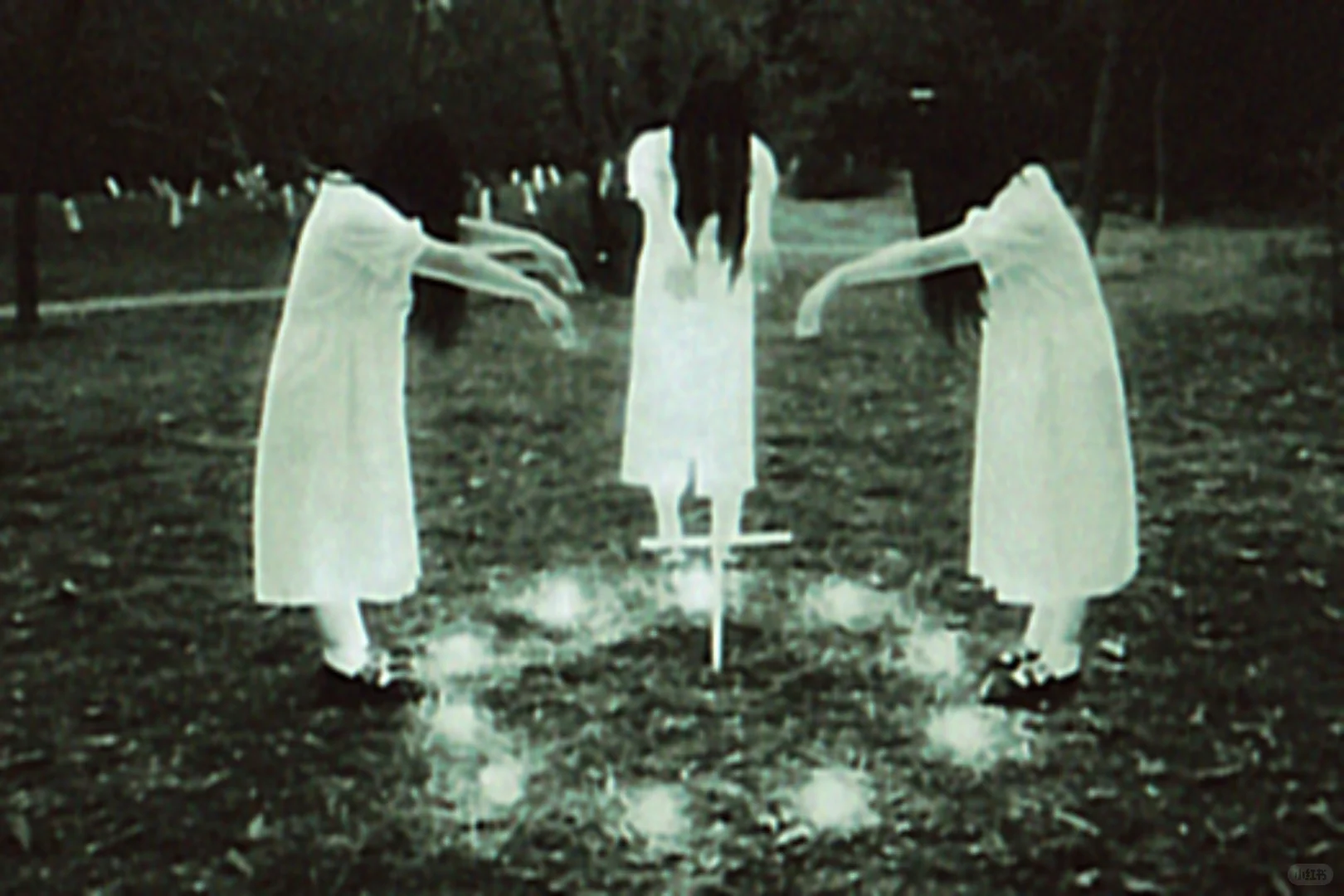 这些高分电影 你看过几部