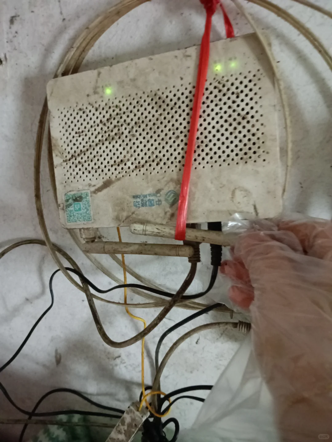 哪个盒子是看电视的