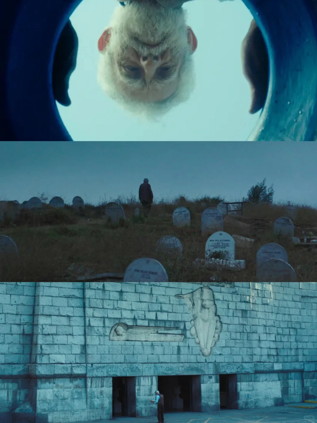 太震撼了❗向全世界推荐这部电影❗巨巨好看