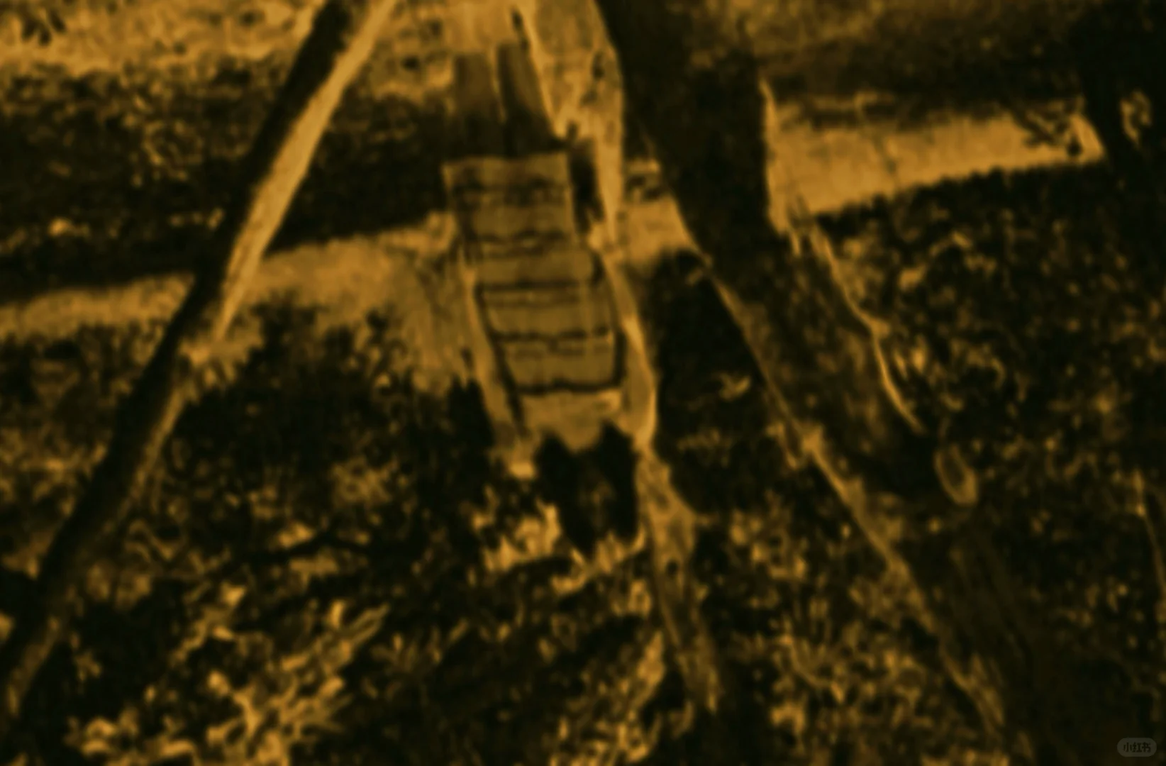 这些高分电影 你看过几部