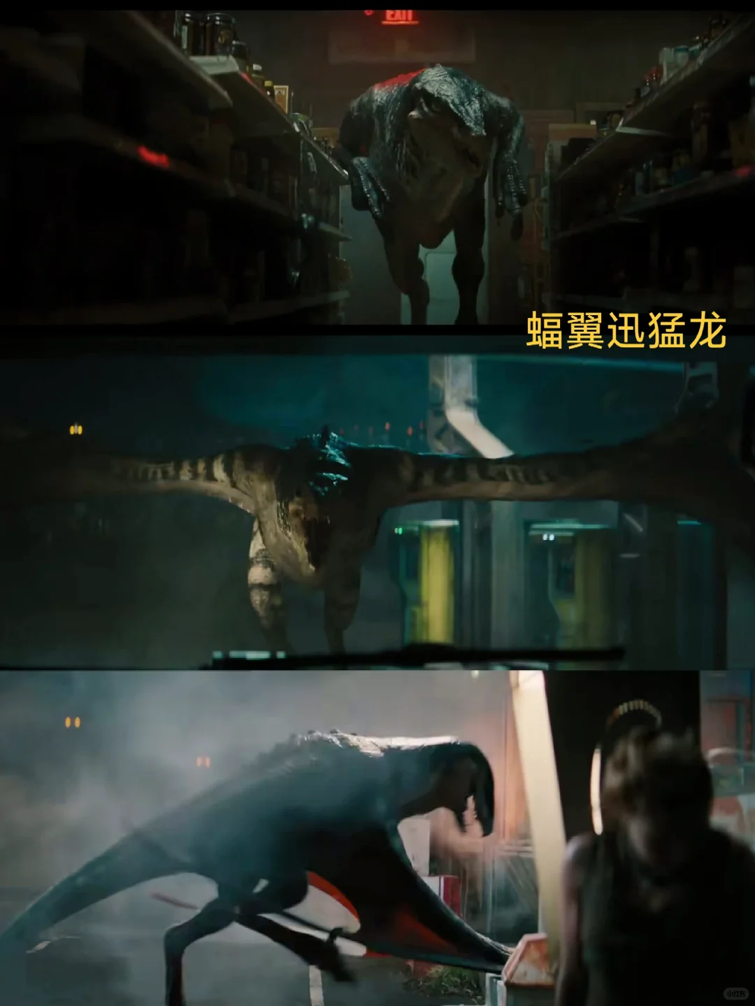 巨物控狂喜🥳侏罗纪变异恐龙天团来了❗️