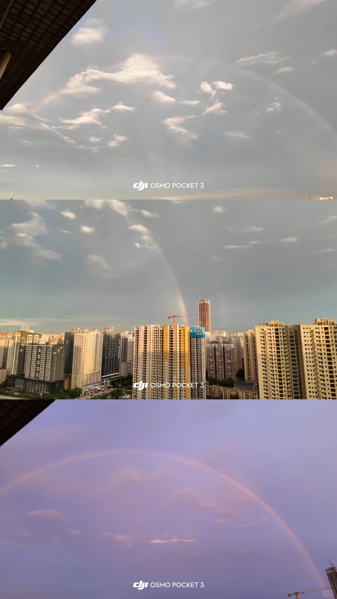 pocket3安卓实况live图三拼，三软件对比图