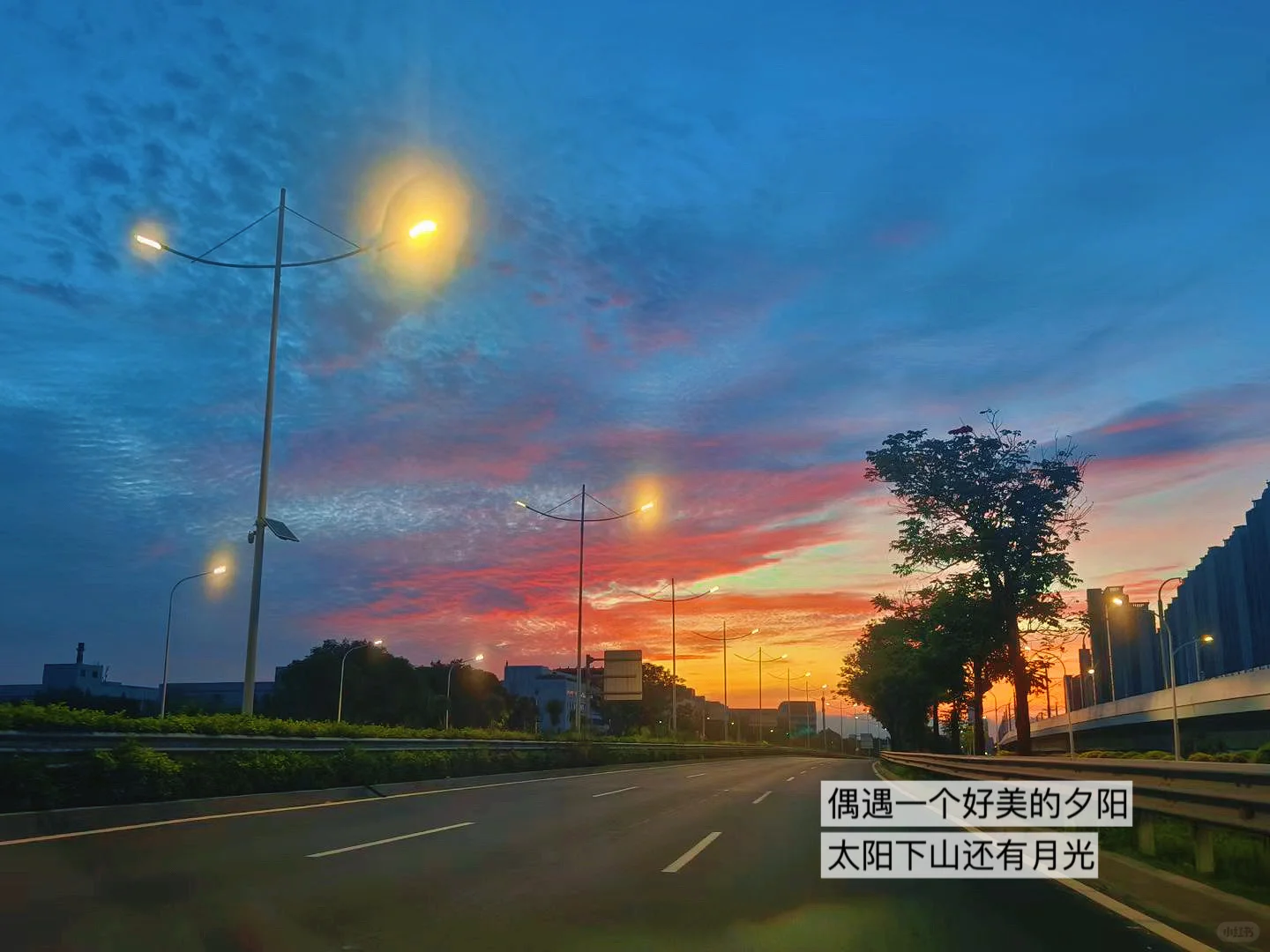 新人起号太难❓这6个工具直接抄‼️