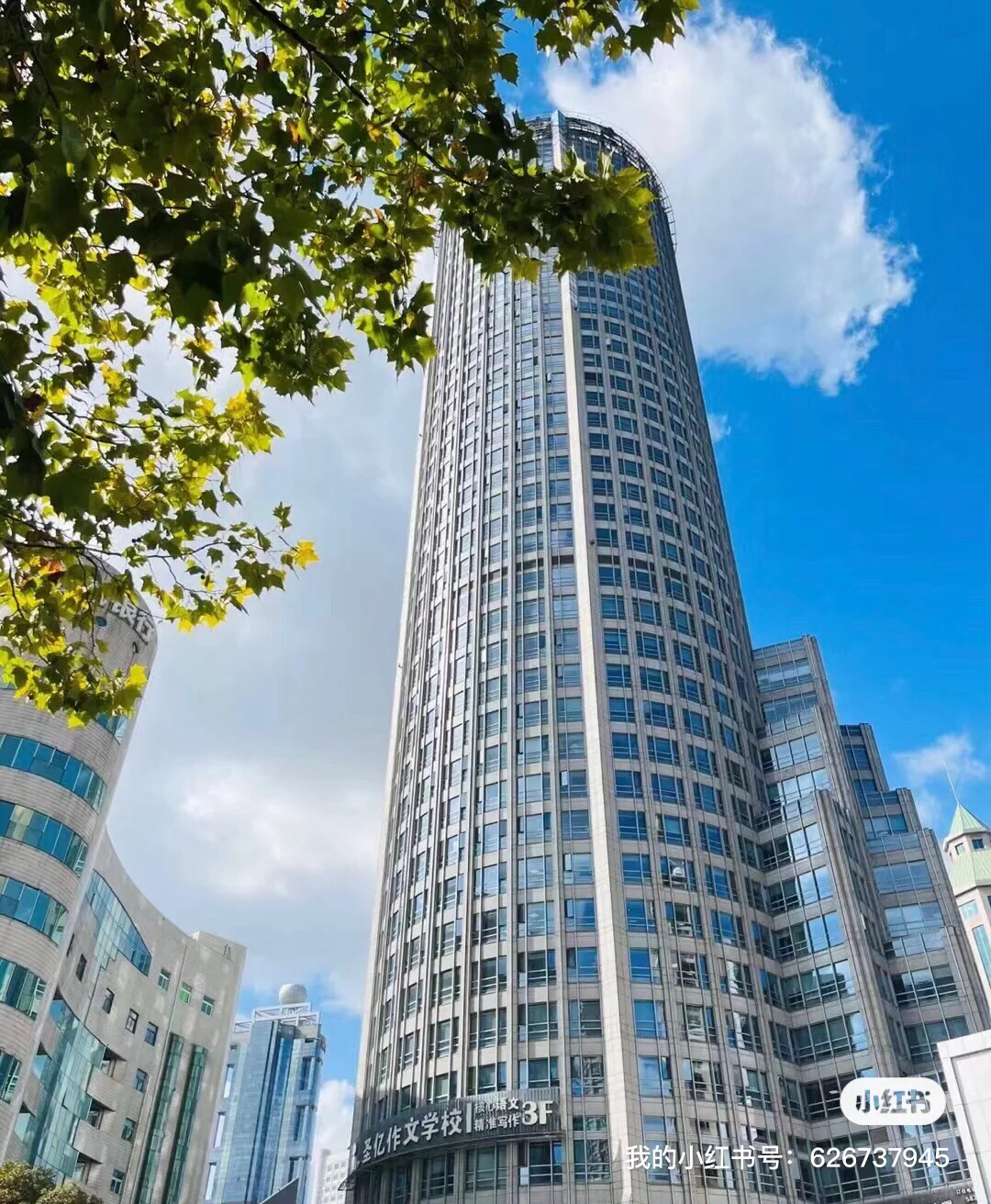 上海浦东新区世纪大道招人啦~