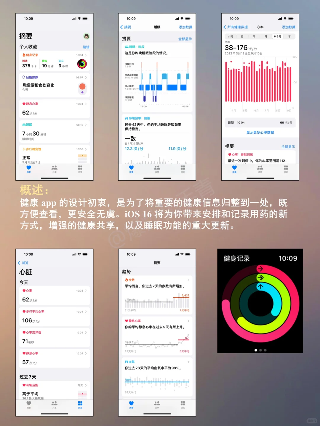 健康App-超好用App使用指南