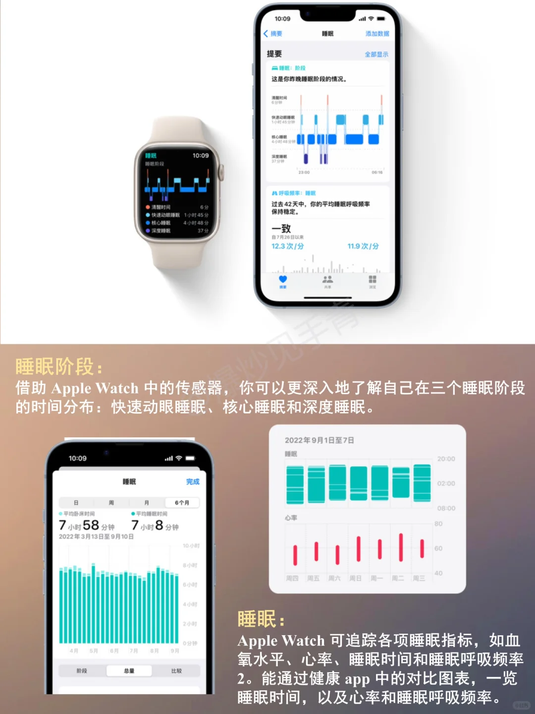 健康App-超好用App使用指南