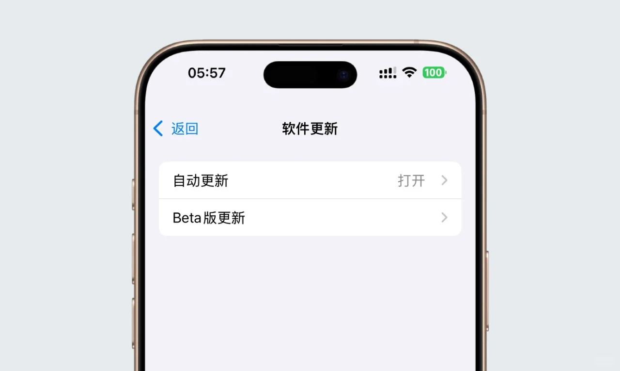 iOS 26 测试版更新升级教程！ Magic
