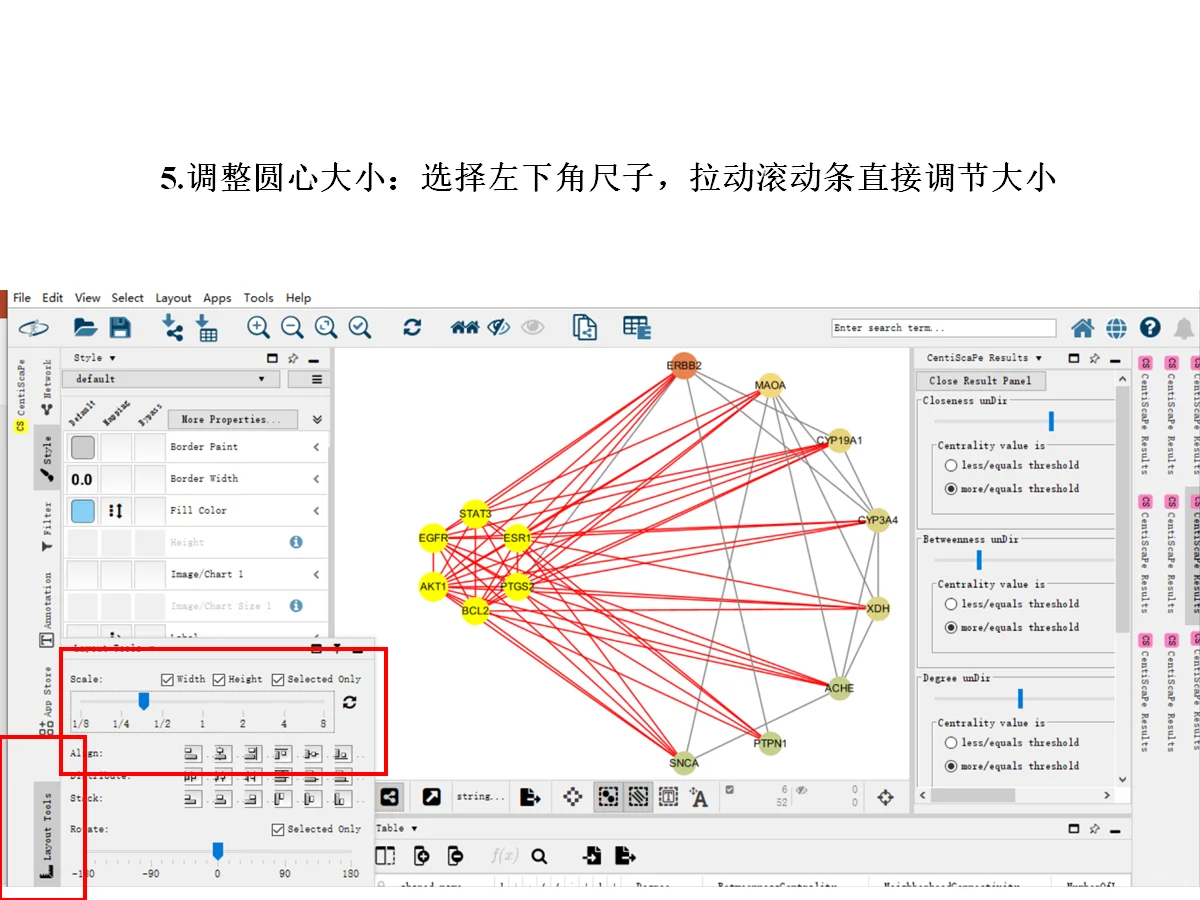 4.4Centiscape插件核心靶基因的筛选