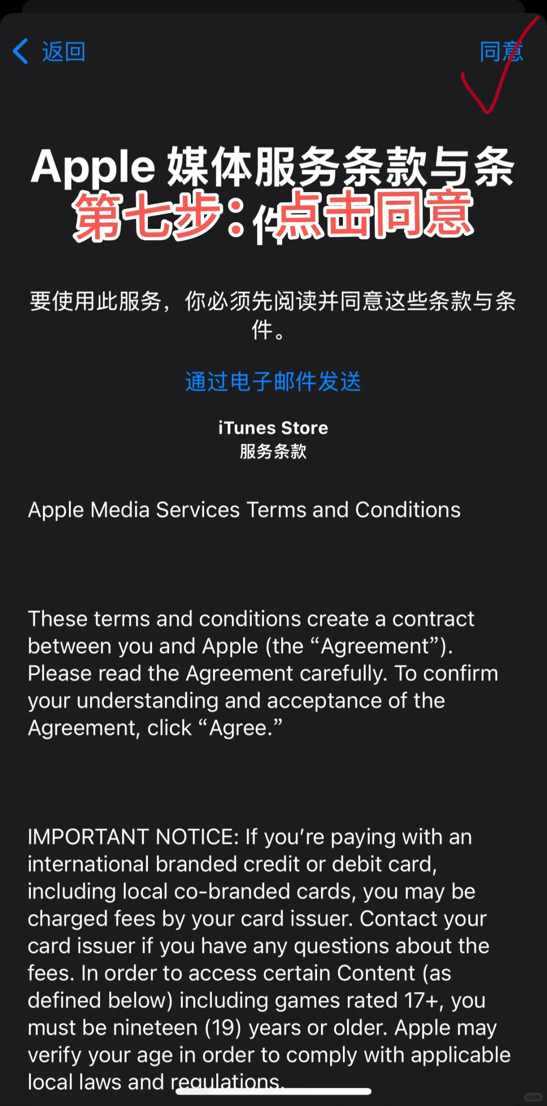 Naver Map下载教程（IOS版本）