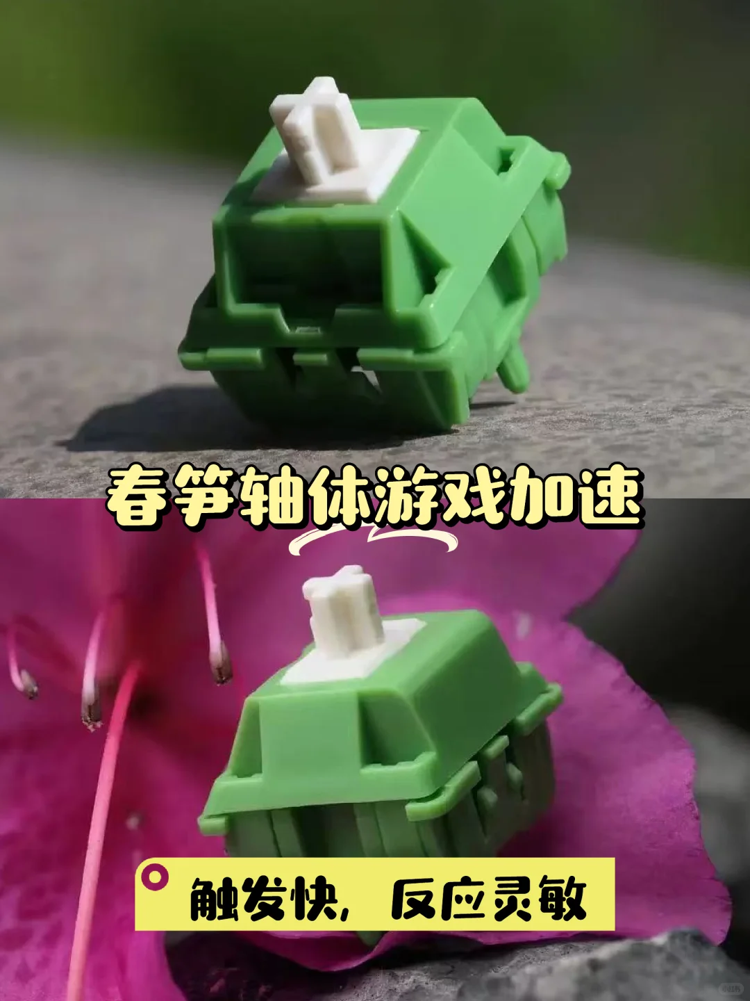 🎮游戏加速器！春笋轴体测评🌟