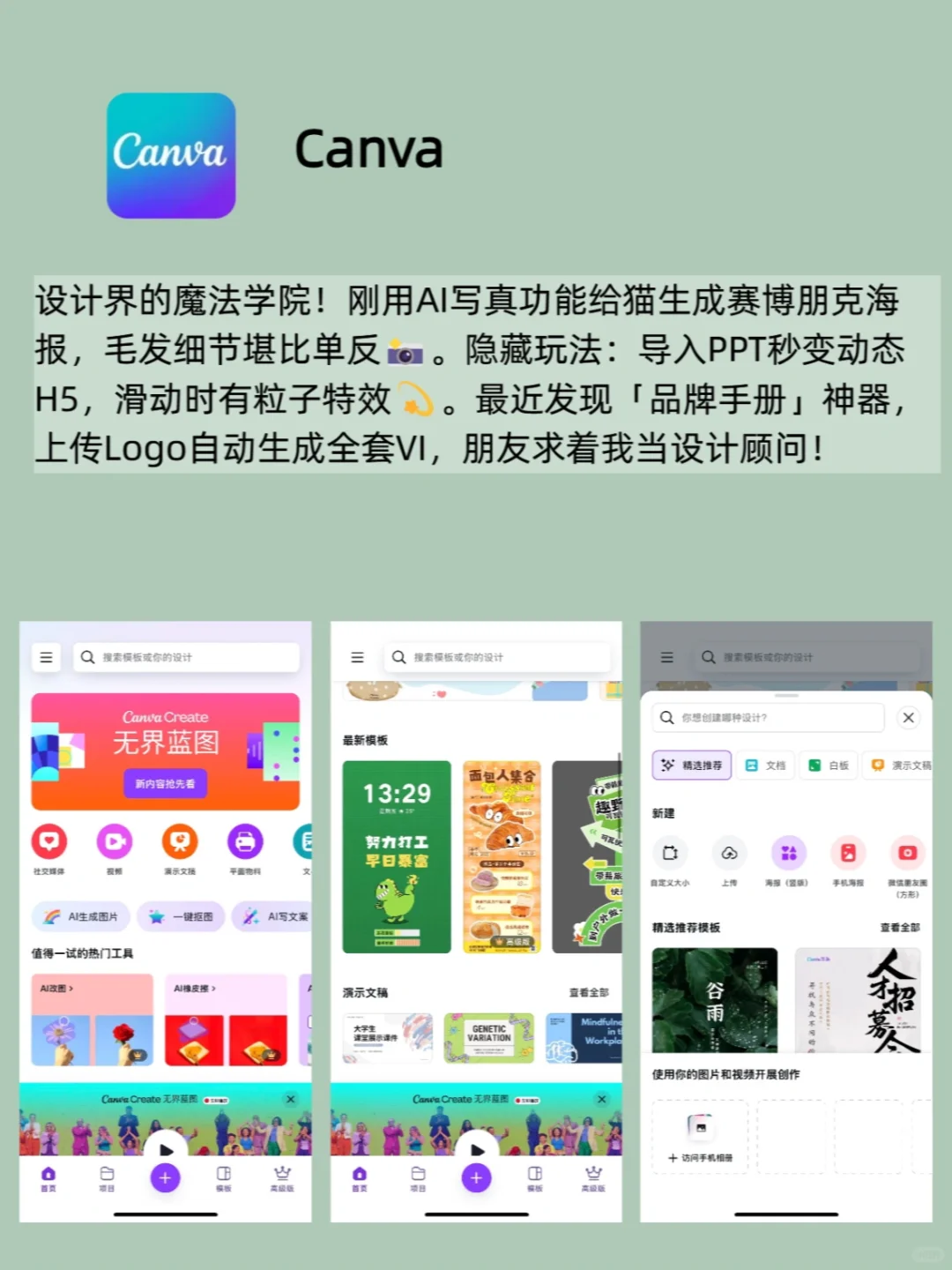🌿让我偷偷变优秀的8个上瘾级APP📱