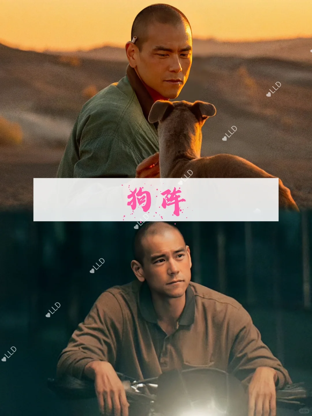 强推❗❗11部现实题材电影。