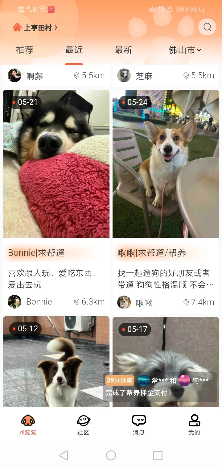 挑战让全网都知道这个APP！！