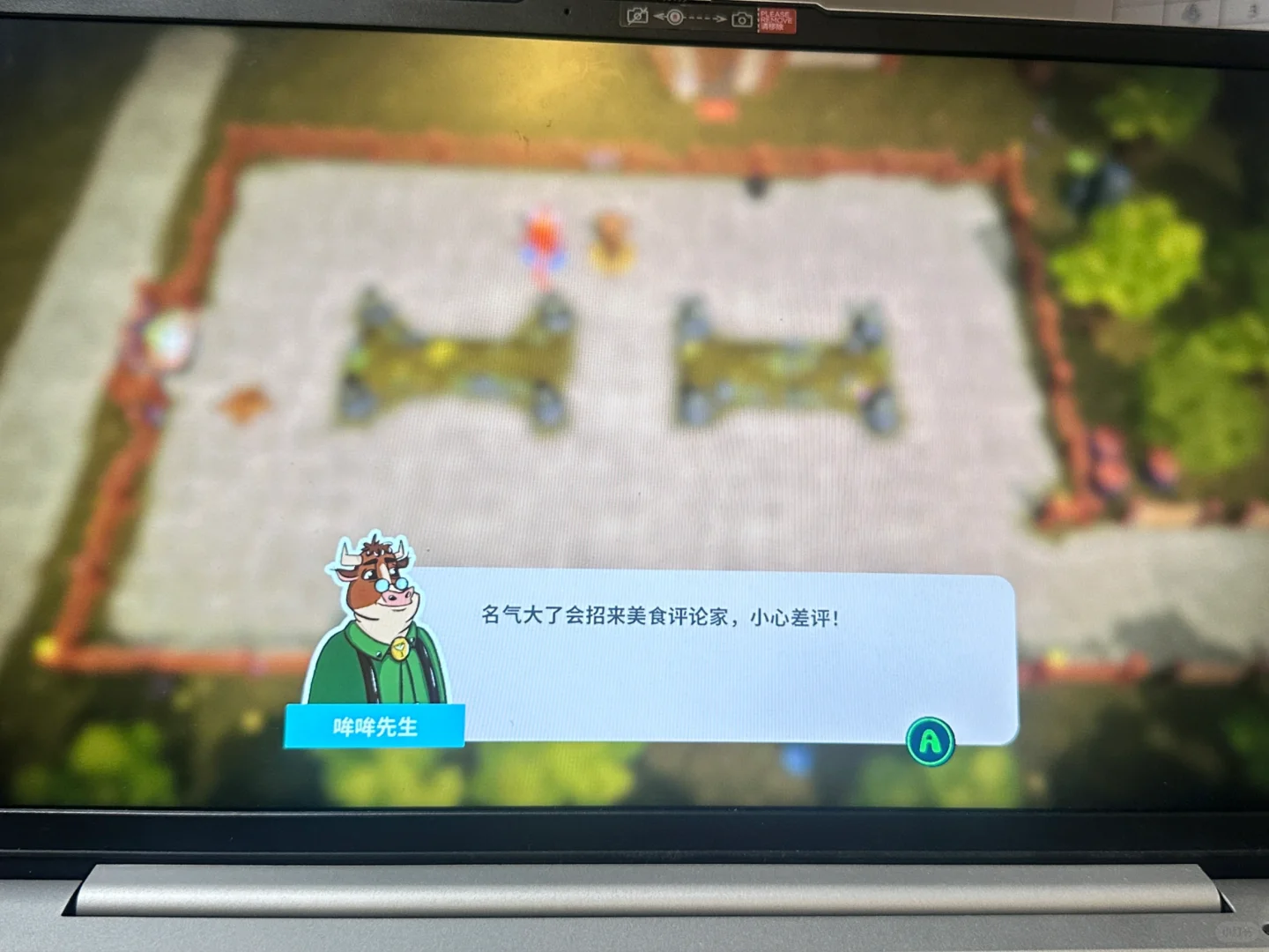 小动物餐吧免费又好玩！！！