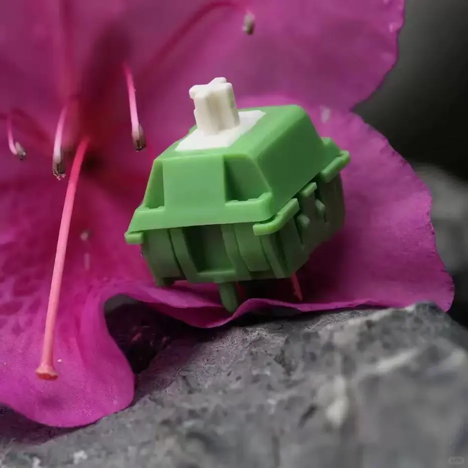 🎮游戏加速器！春笋轴体测评🌟