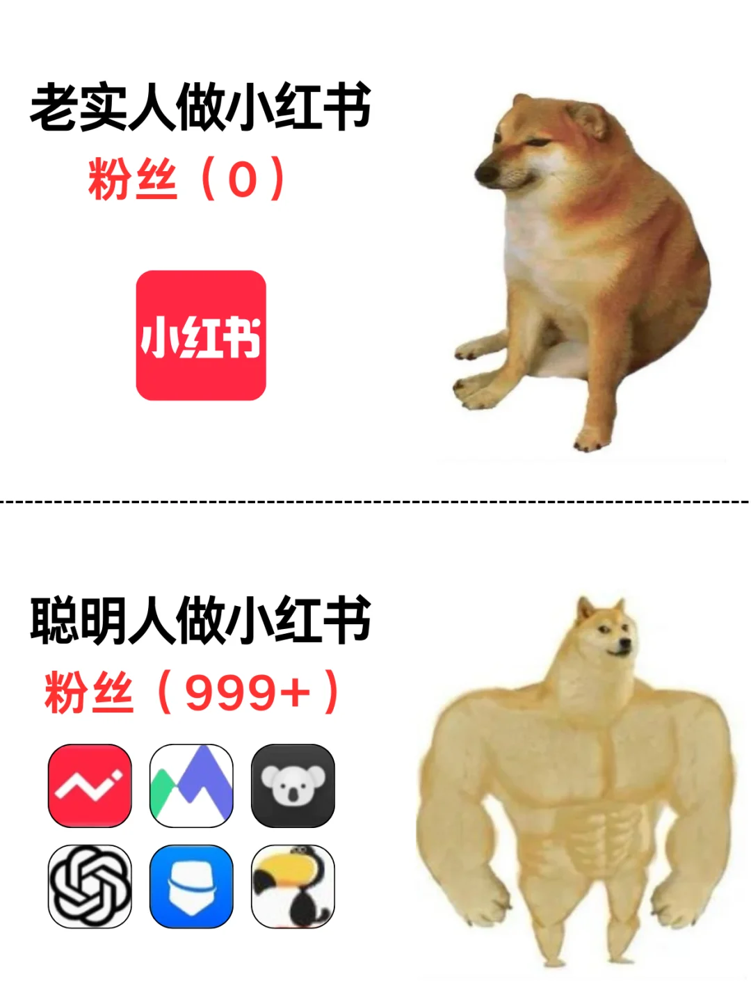 自媒体达人必备👝藏工具助你高效运营🔥