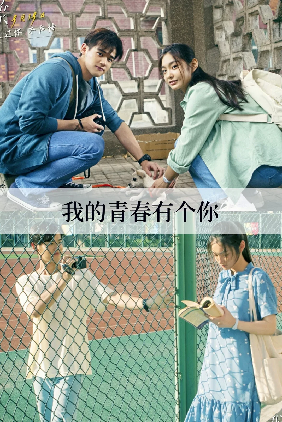 推荐17部超级好看的青春校园电影