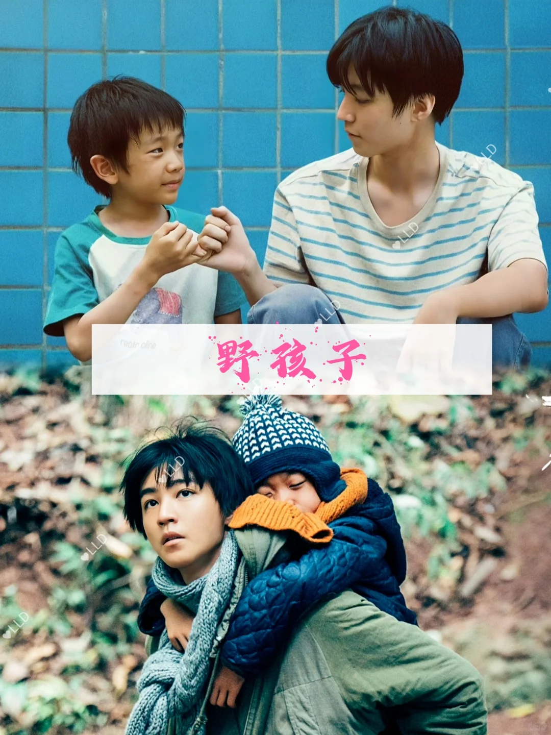 强推❗❗11部现实题材电影。