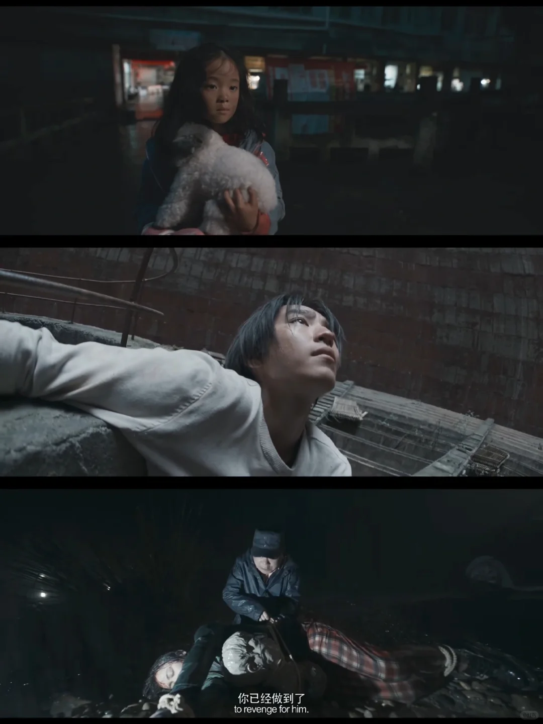 挑战看完100部电影：第2️⃣0️⃣部