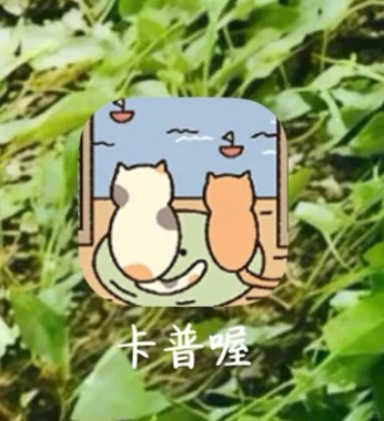 有人知道这个小众APP吗？