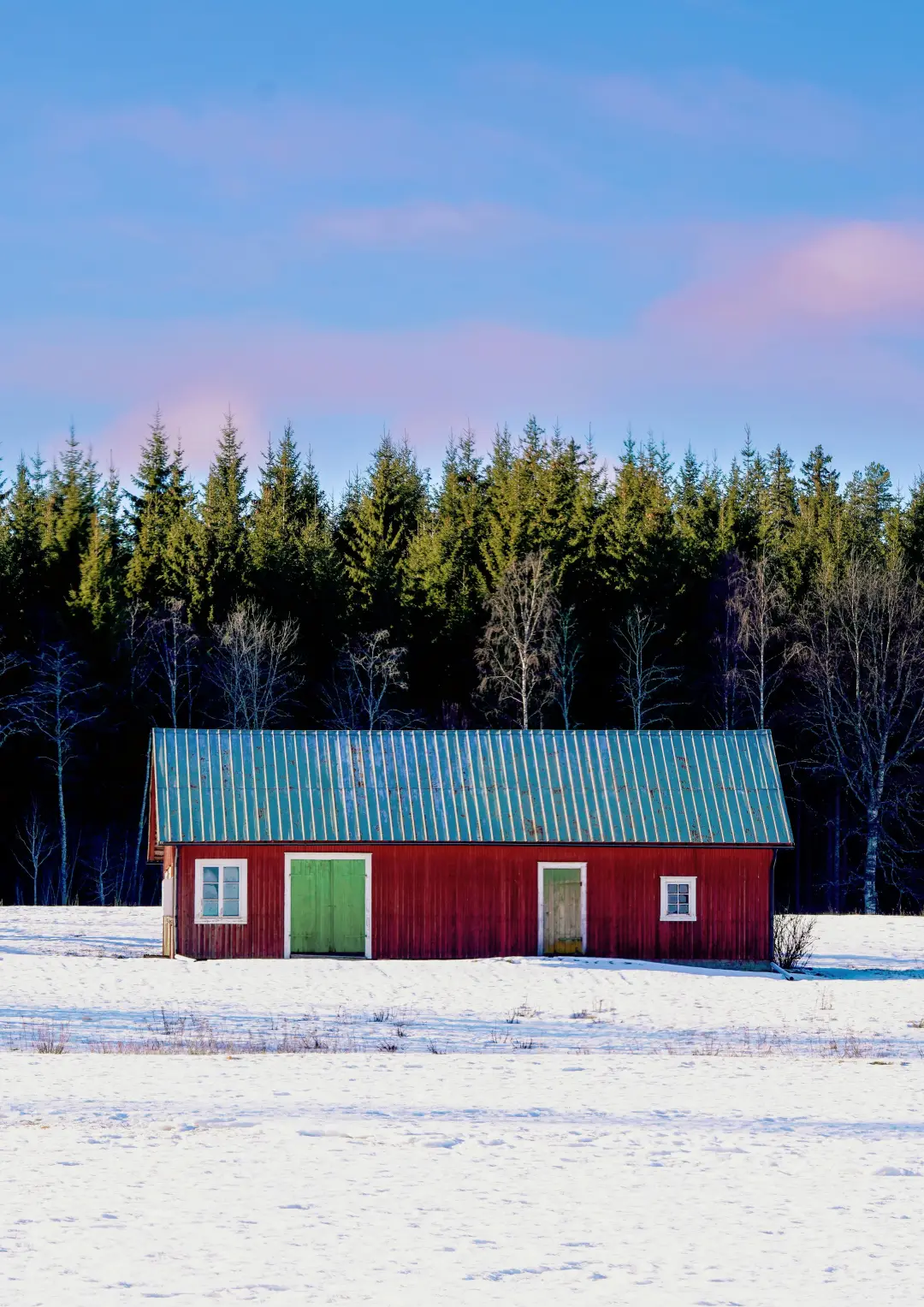 可免费使用的多语言配音软件