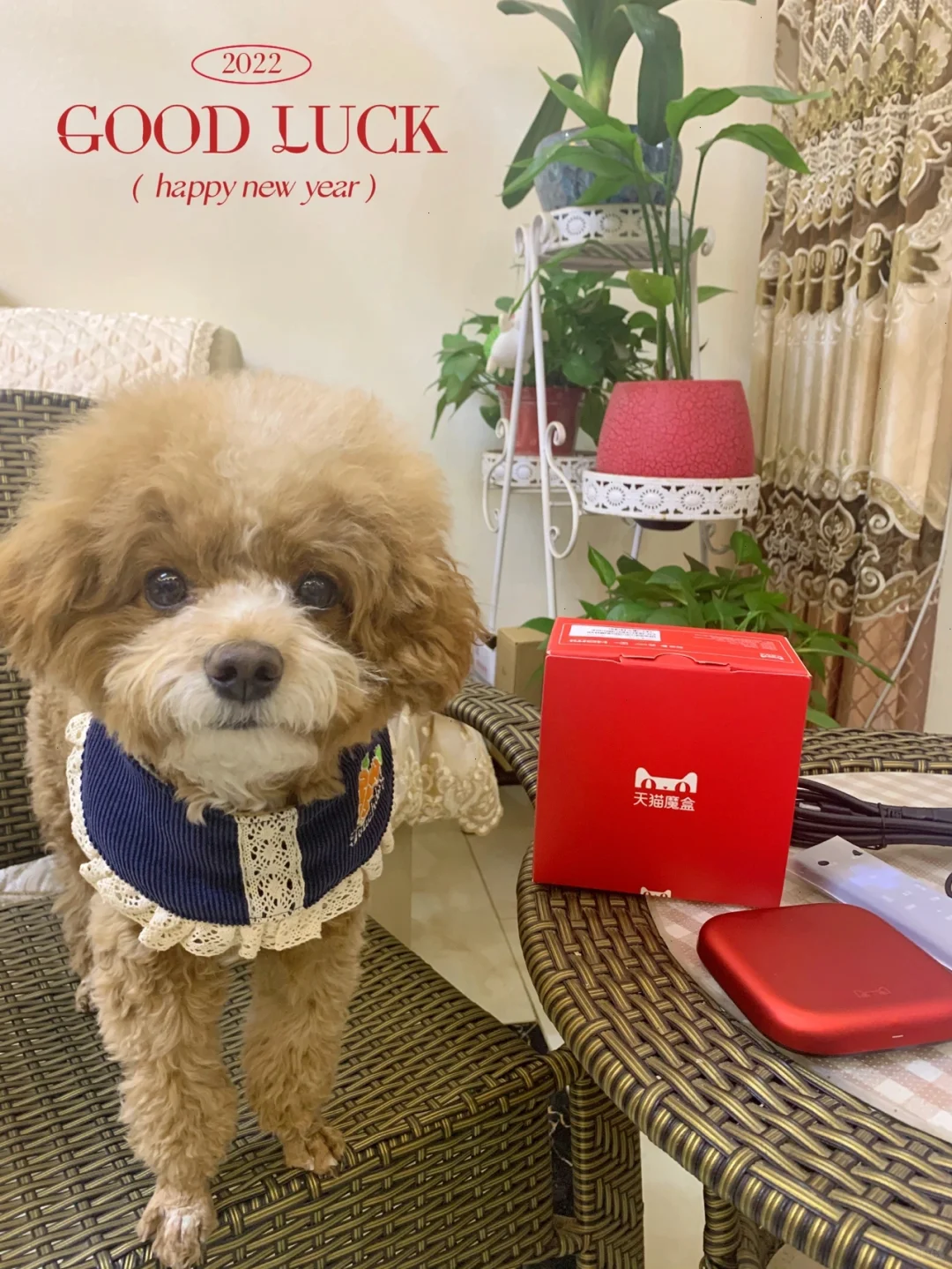 过年宅家不无聊啦~轻松追剧！