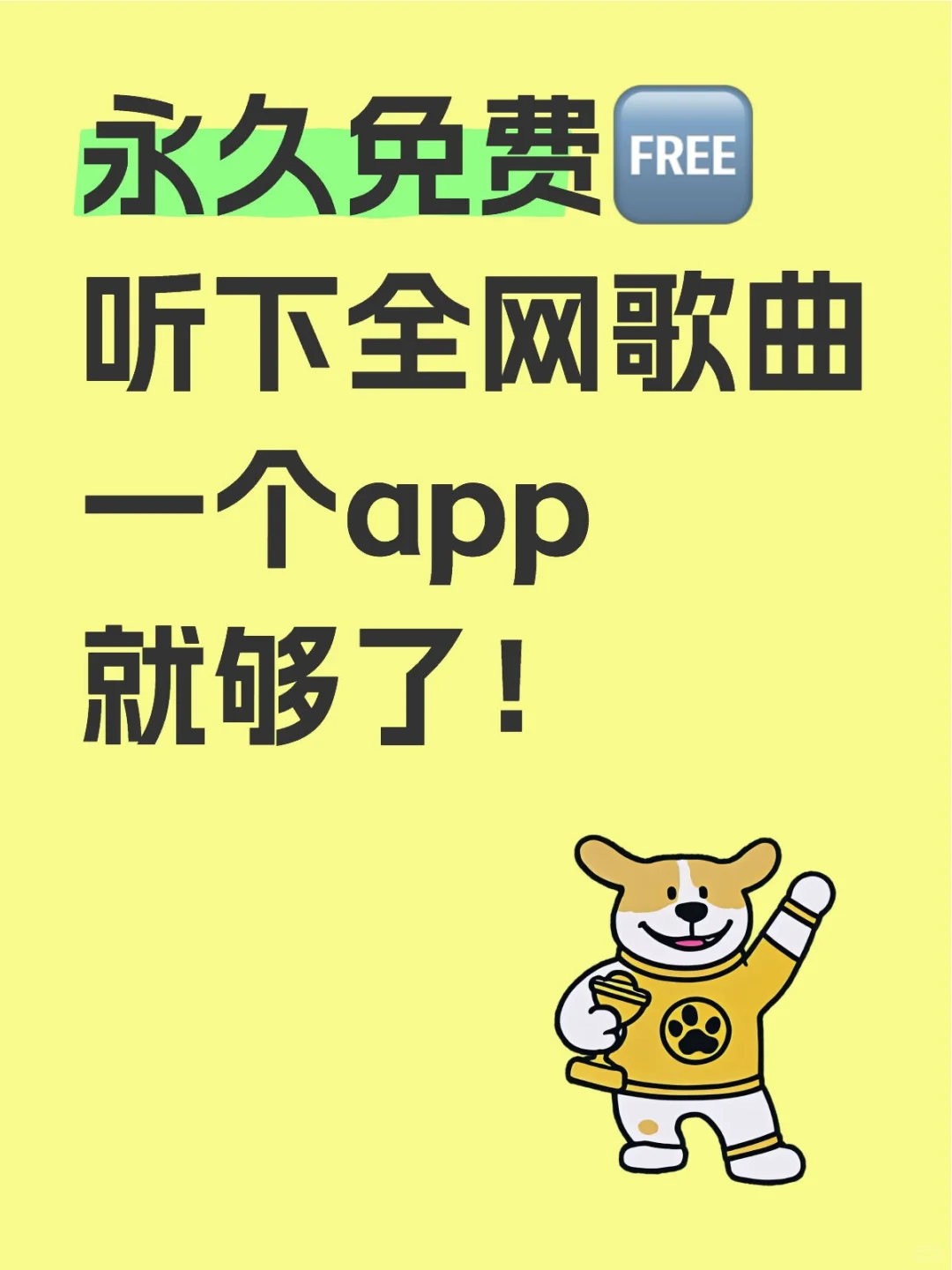 超好用的免费音乐软件🎶🎶