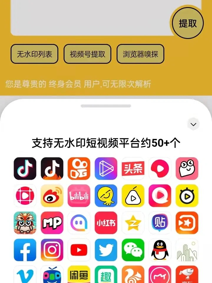 视频专业去水印