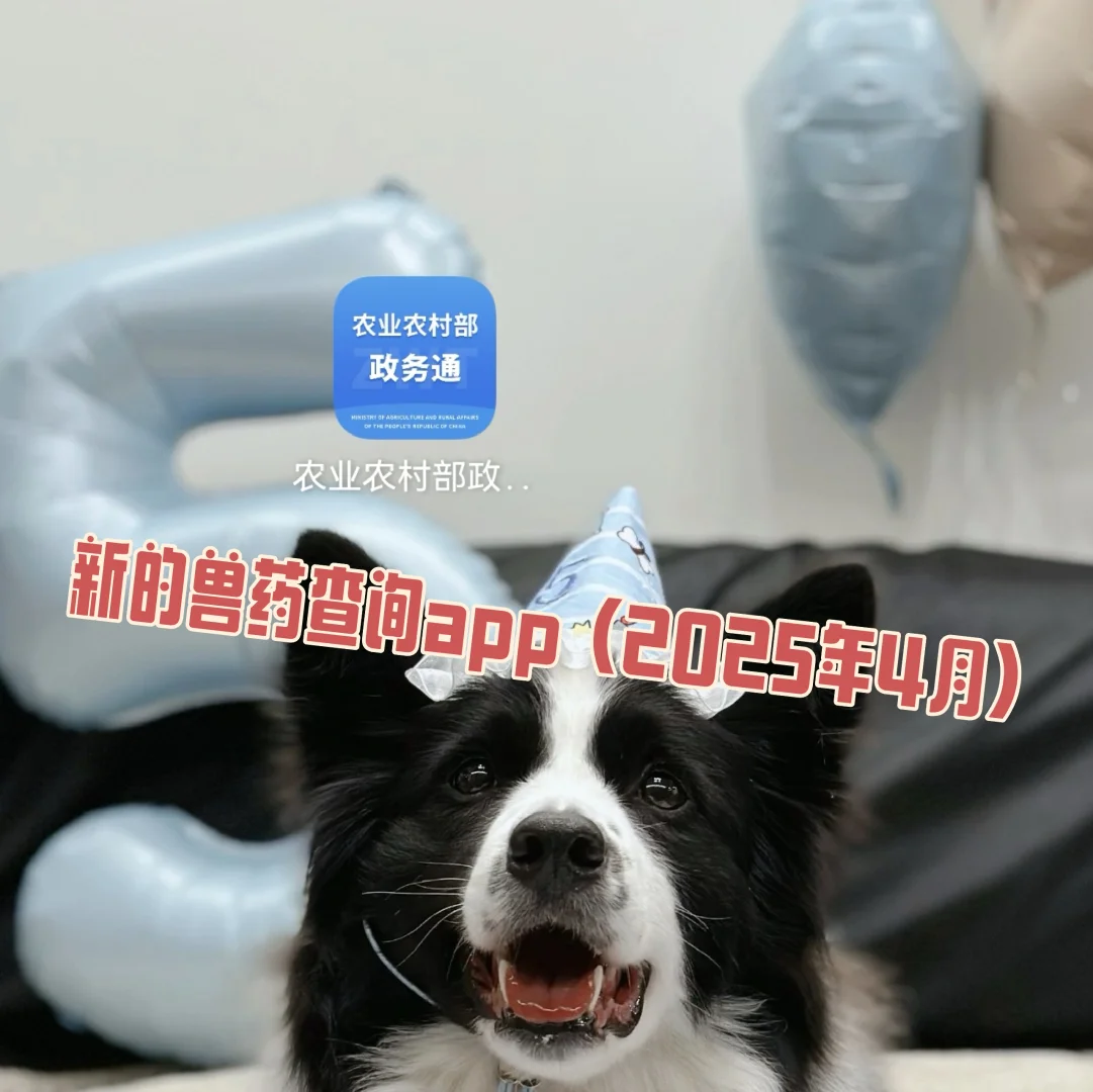 兽药app没法下载 看这个