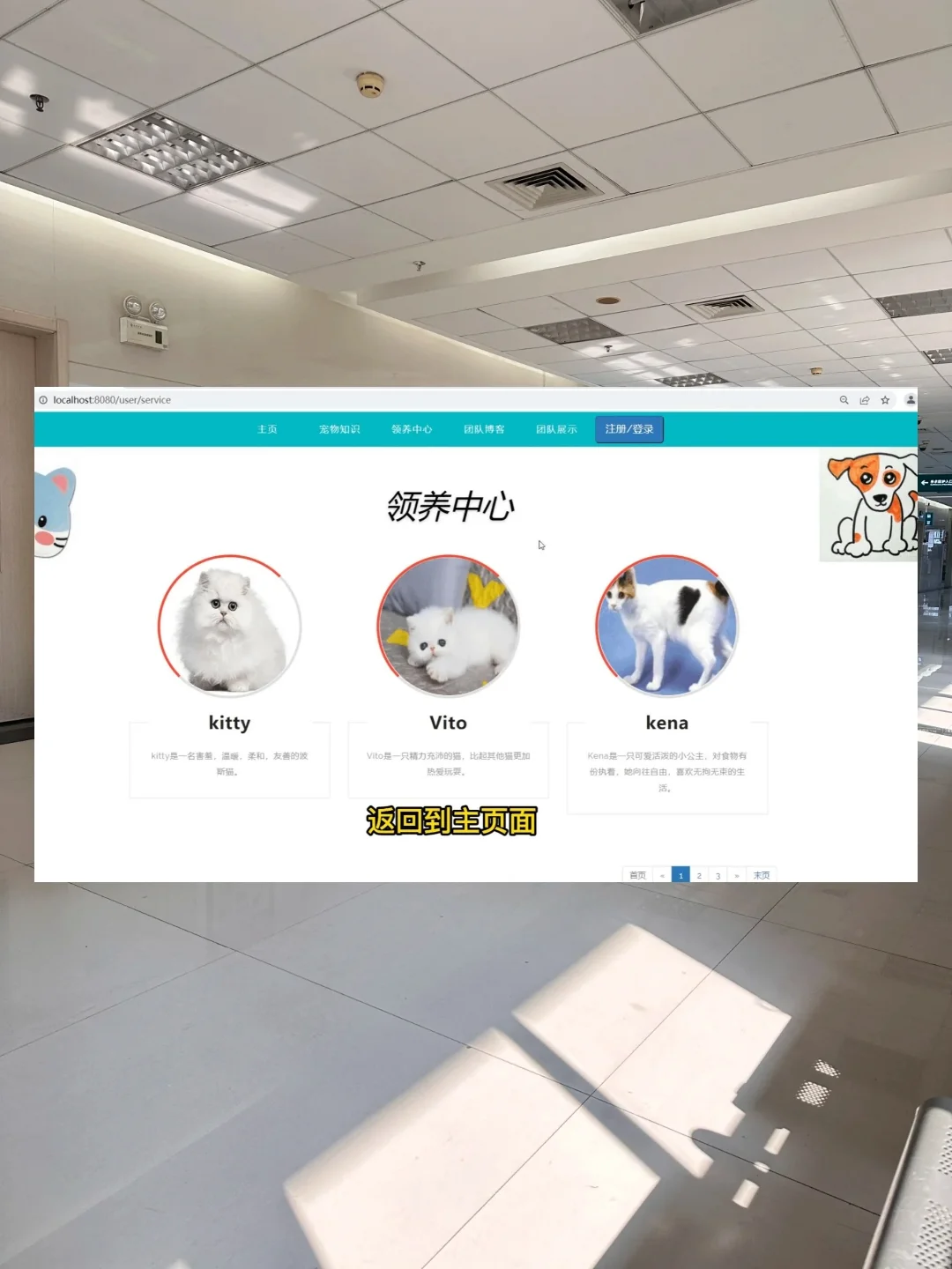 宠物领养系统（源码+课件），允许白嫖！