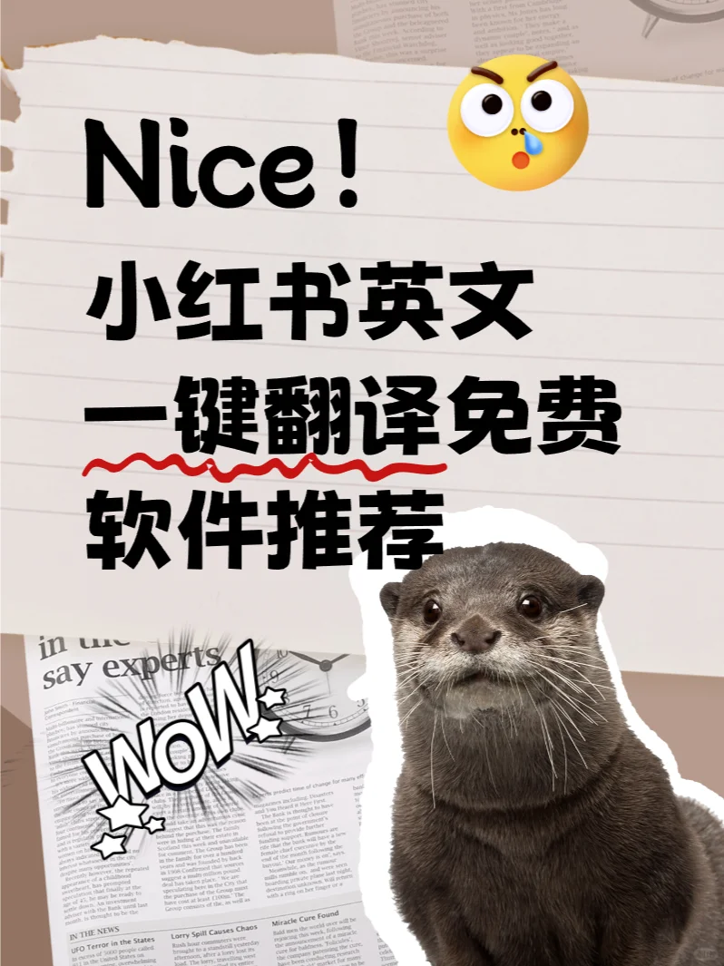 小红书一键自动翻译免费app推荐