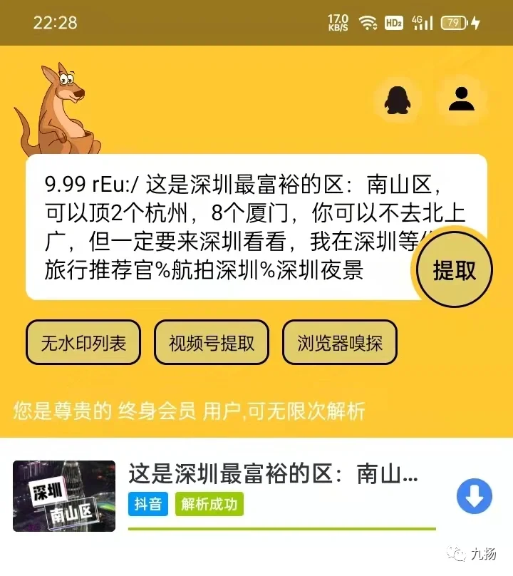 视频专业去水印