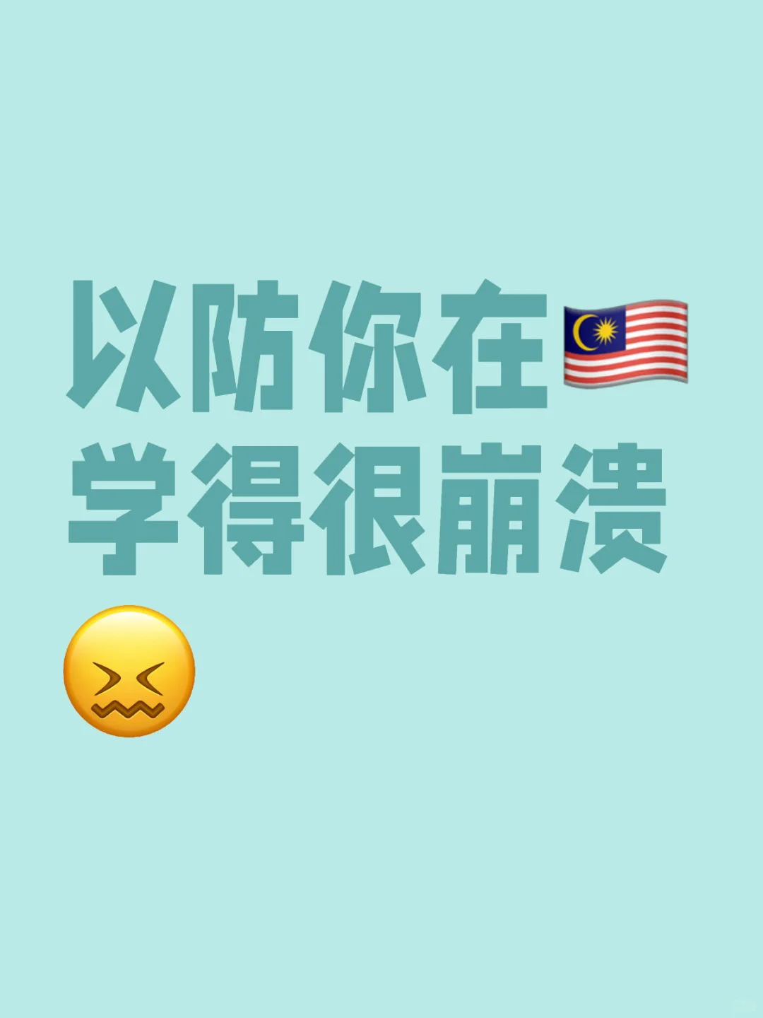 以防你在🇲🇾不知道怎么学习