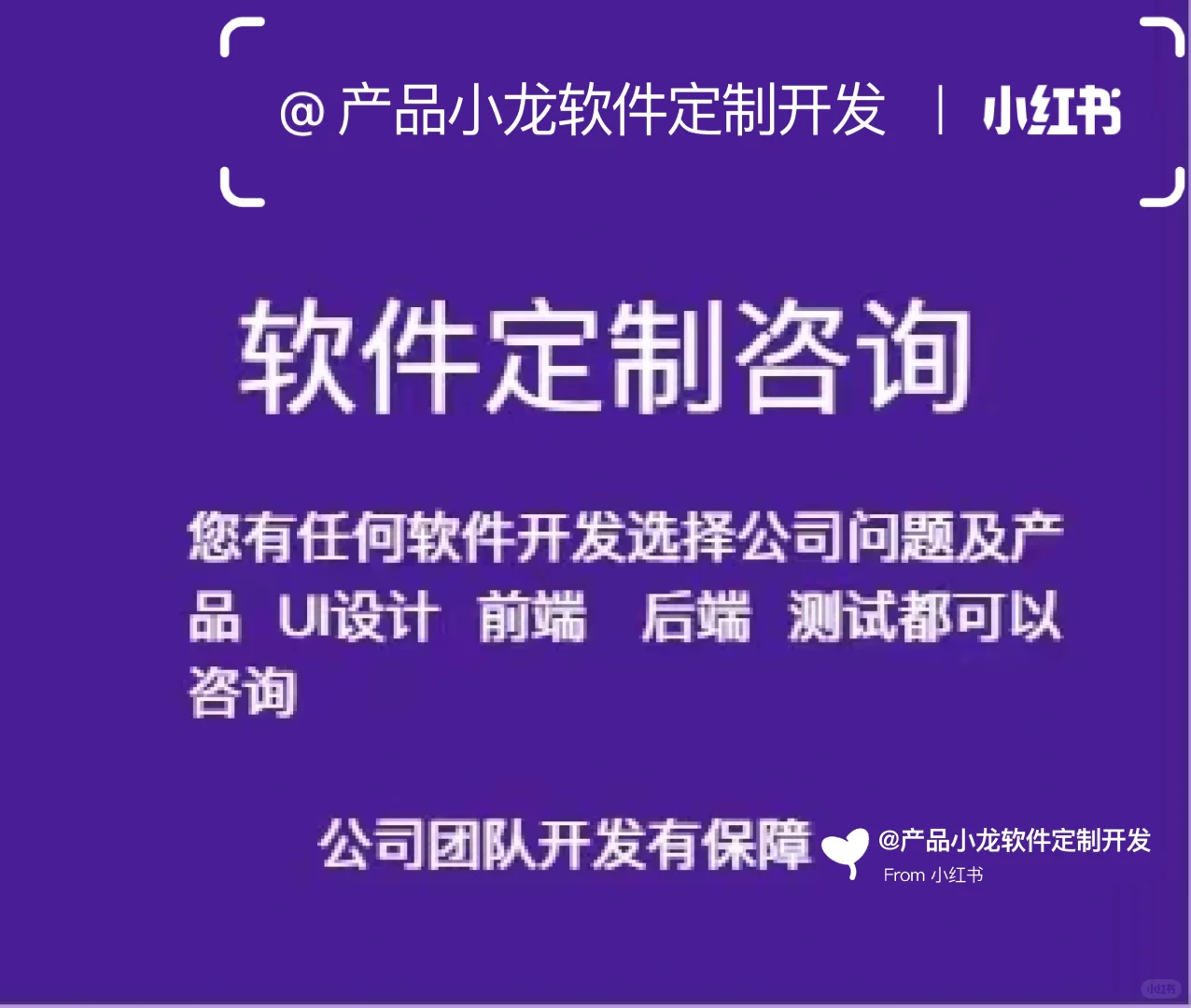 软件定制开发咨询