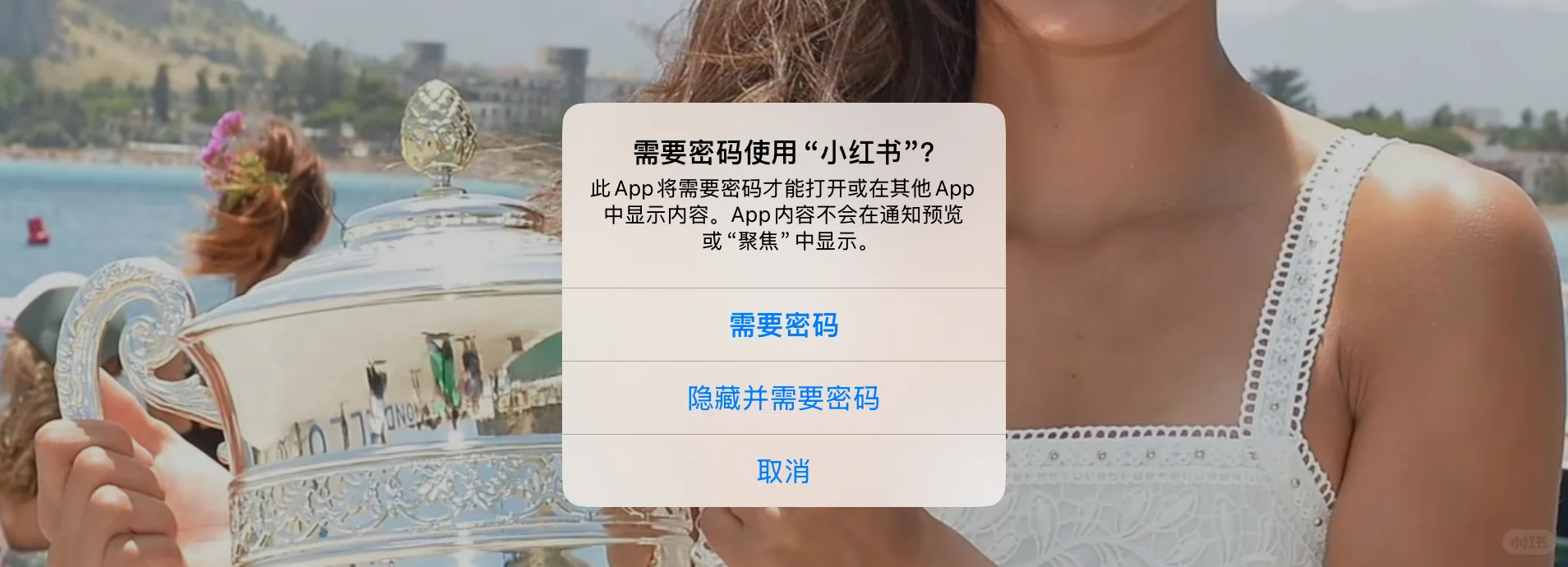 关于IOS终于跟上时代潮流这件事