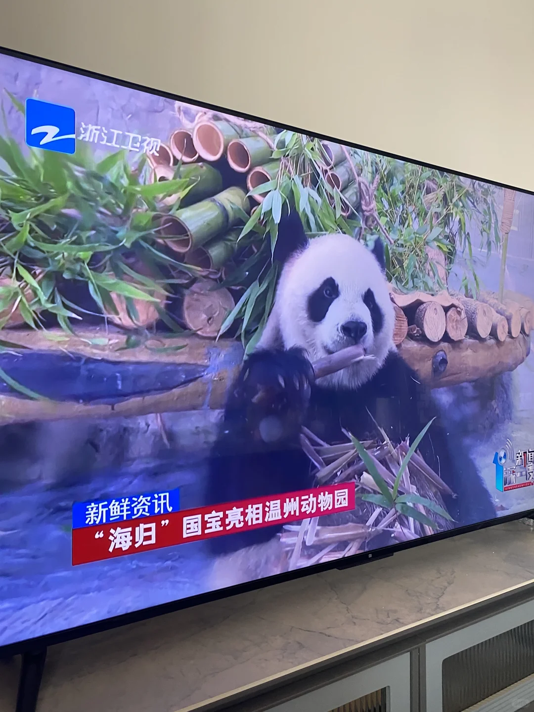 新到的智能电视开机满屏需要开各种会圆？