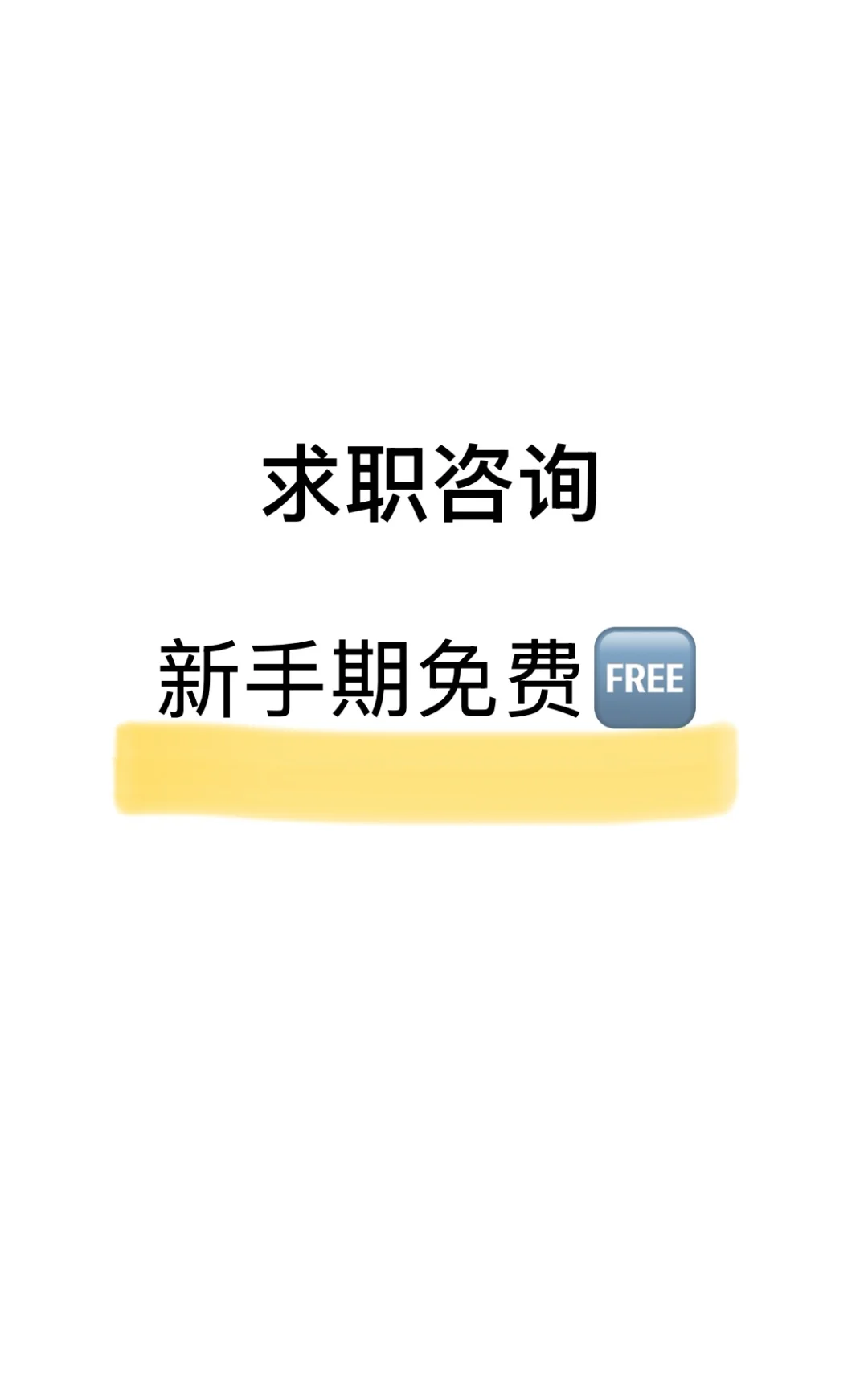 公益求职咨询🌿