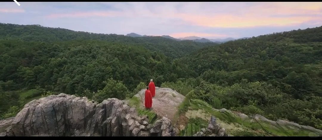 分享一个自用的看剧app